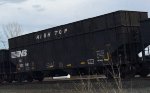 NS 802981